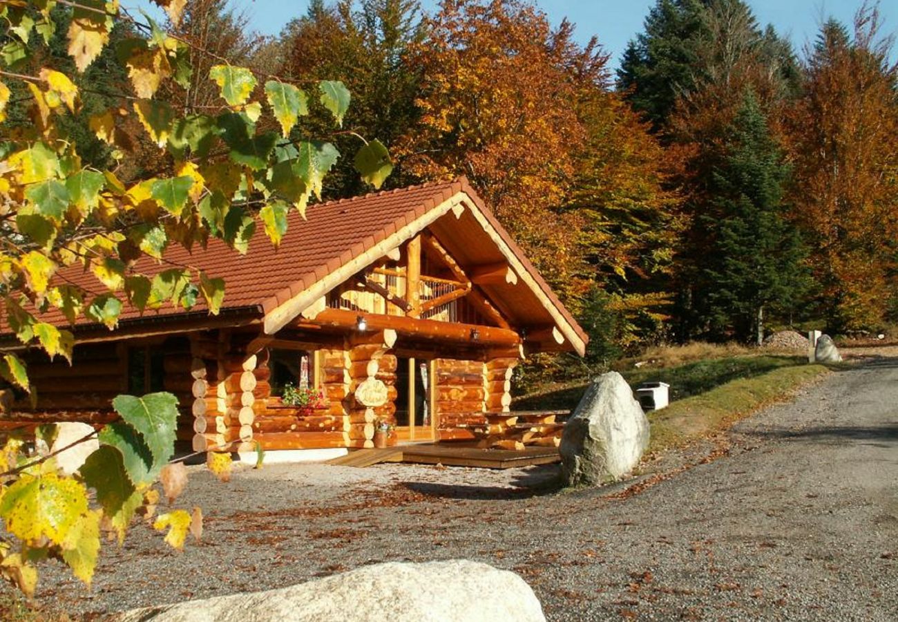 Chalet à La Bresse - 912. Superbe chalet rondins 10/12p, 140m², 4ch