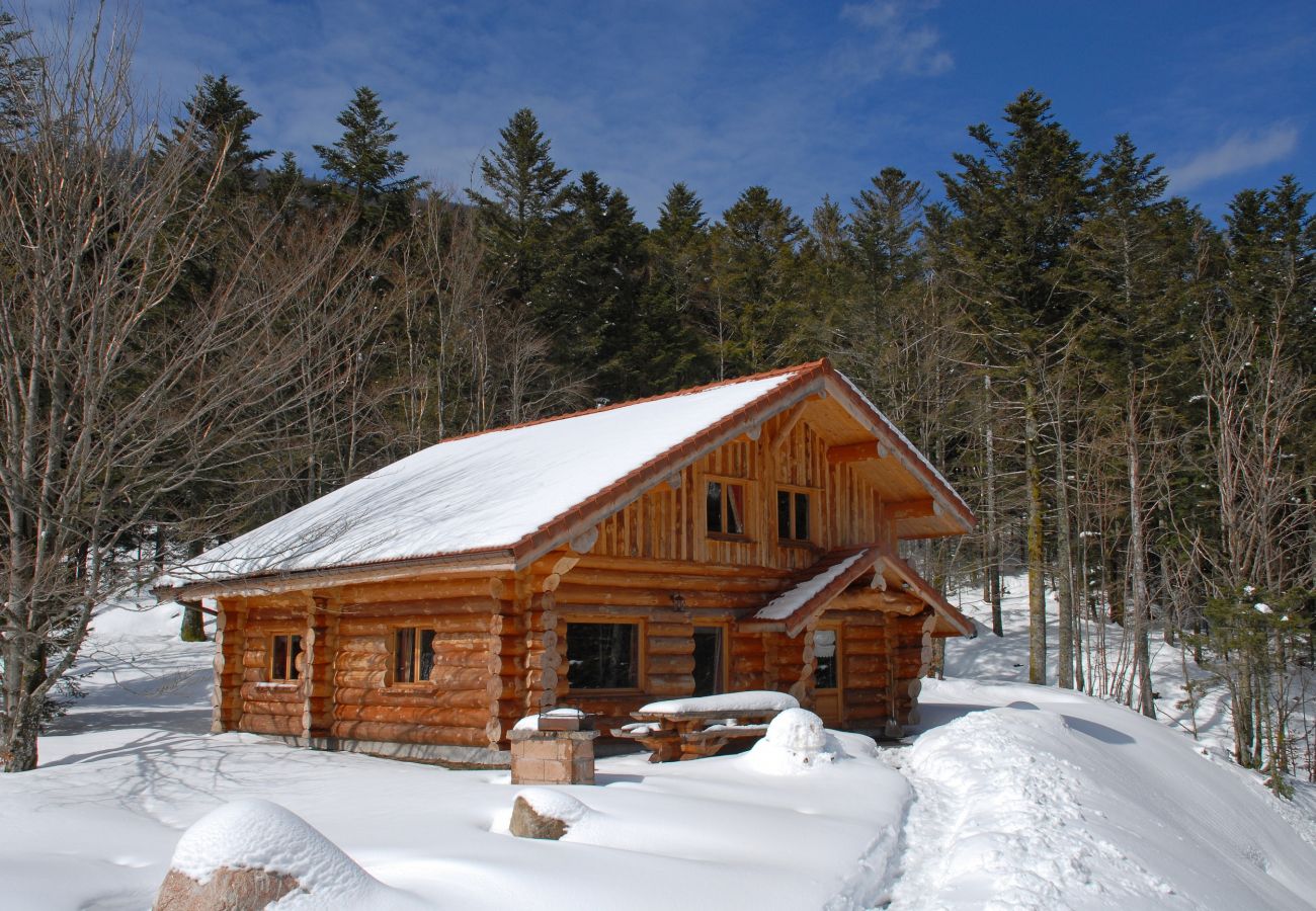Chalet à La Bresse - 914. Superbe chalet rondin 12/14p 150m² 4ch sauna