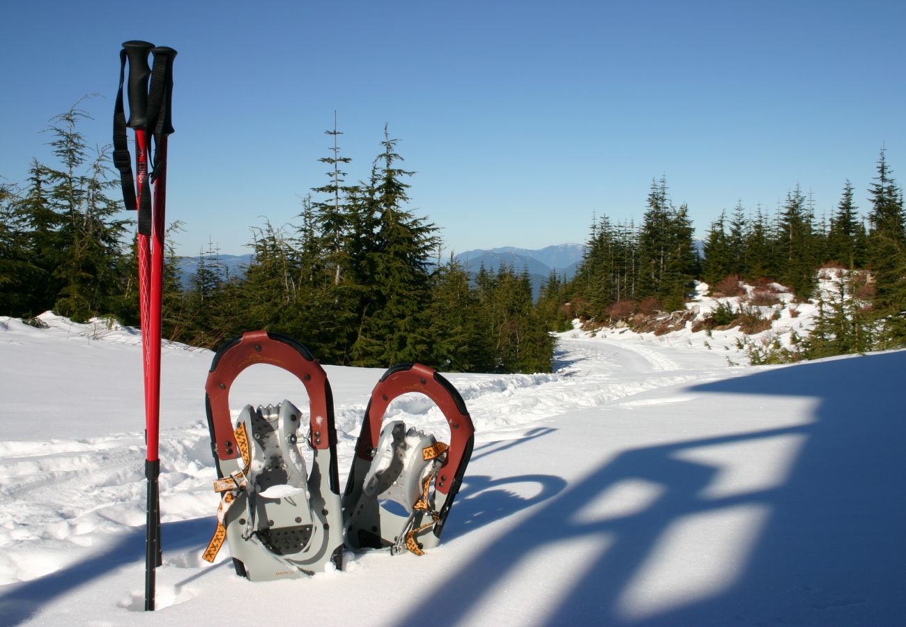 Chalet à La Bresse - 914. Superbe chalet rondin 12/14p 150m² 4ch sauna