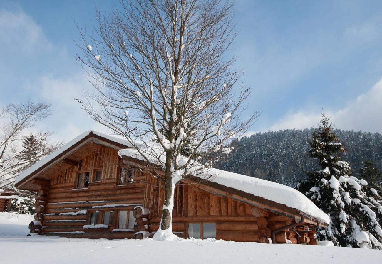 Chalet à La Bresse - 916. Magnifique chalet rondins 14/16p, 220m², 6ch