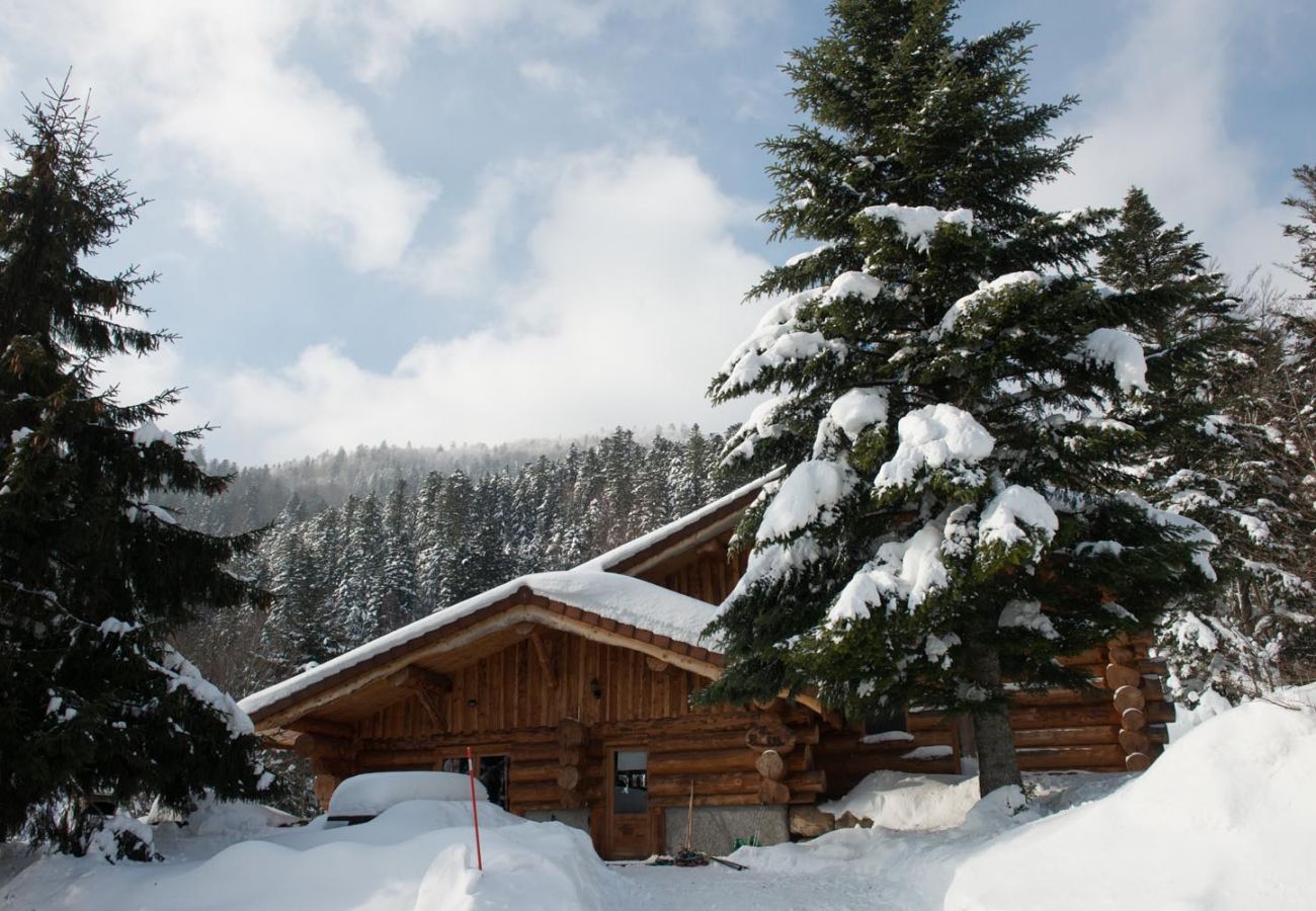 Chalet à La Bresse - 916. Magnifique chalet rondins 14/16p, 220m², 6ch