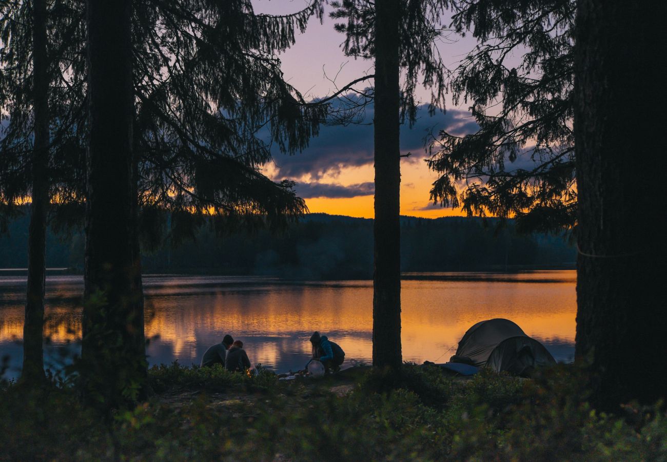 Appartement à La Bresse - M13. Appartement premium 3/4p 52m² 2ch calme wifi