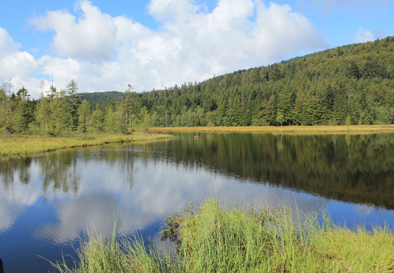 Appartement à La Bresse - G7. Appartement premium 3/5p 42m² 1ch terrasse