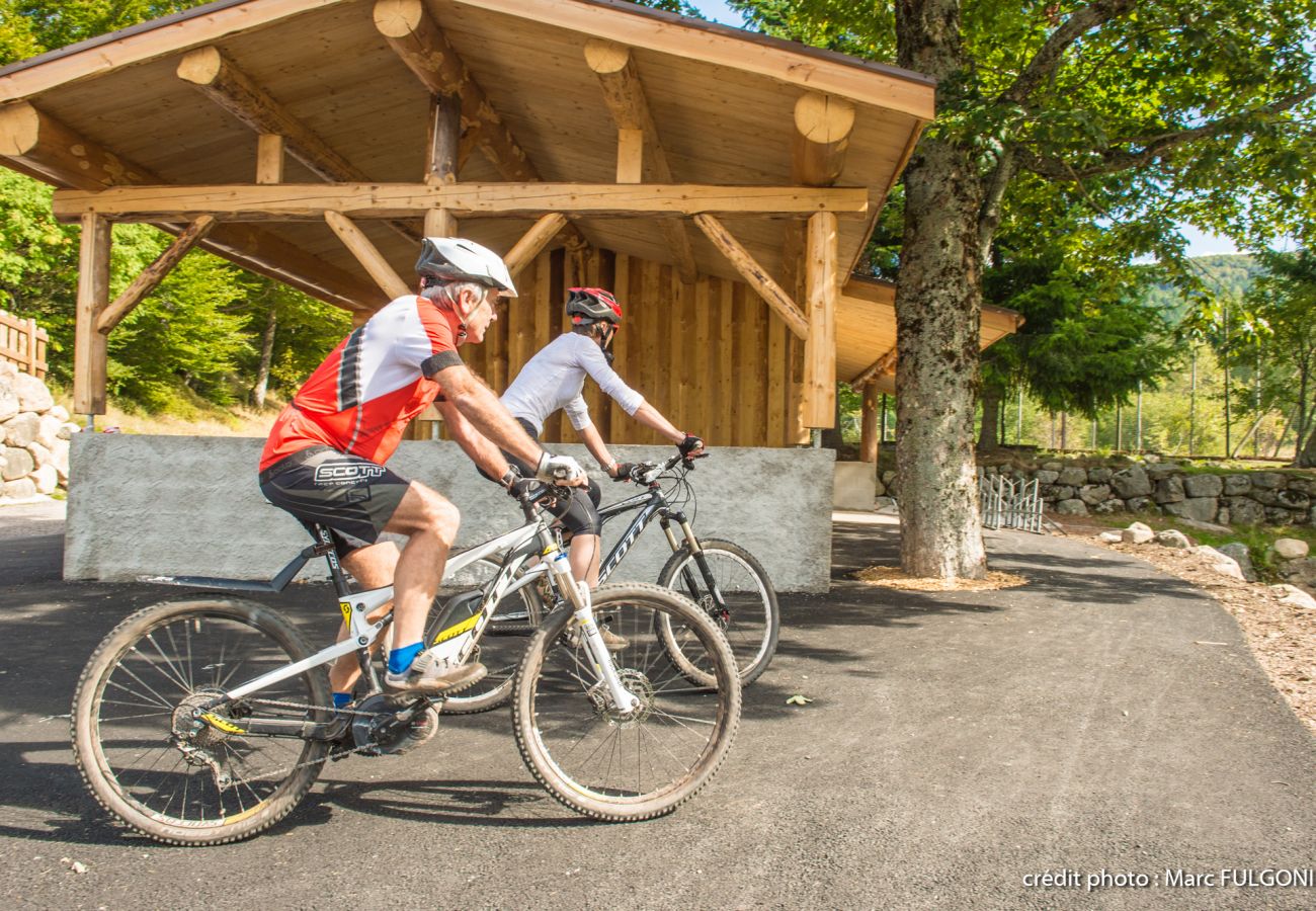 Appartement à La Bresse - H12. Appartement premium 3/5p 42m² 1ch terrasse