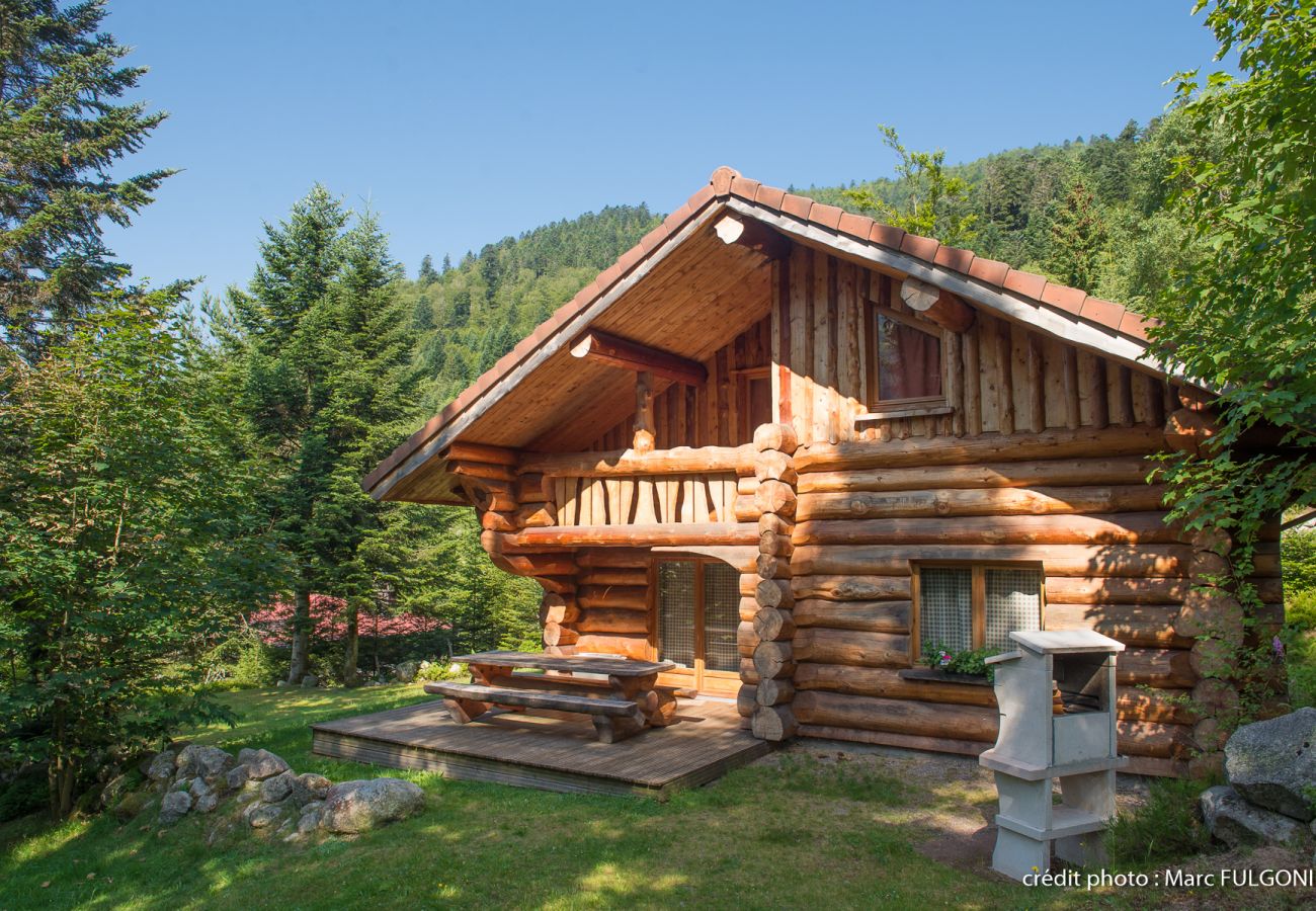 Chalet à La Bresse - 8. BE Magnifique chalet rondins 130m², 4ch, 8/10p