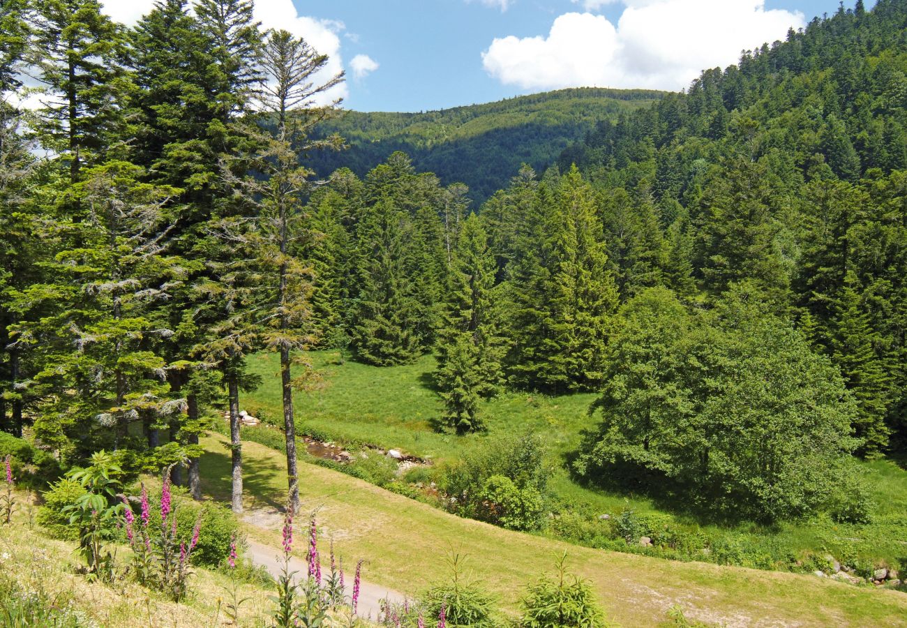 Chalet à La Bresse - 8. BE Magnifique chalet rondins 130m², 4ch, 8/10p