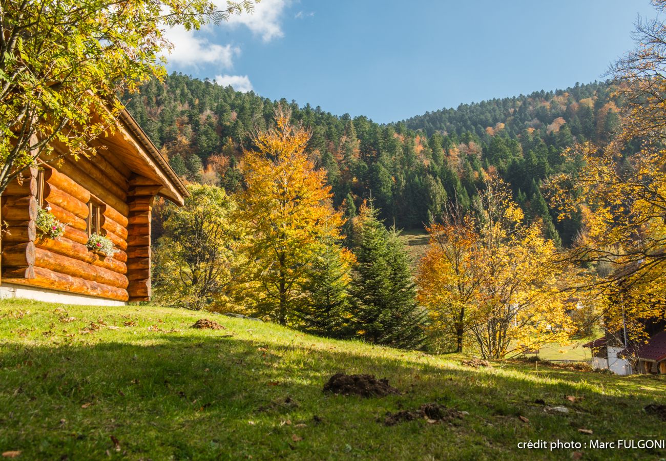 Chalet à La Bresse - 8. BE Magnifique chalet rondins 130m², 4ch, 8/10p