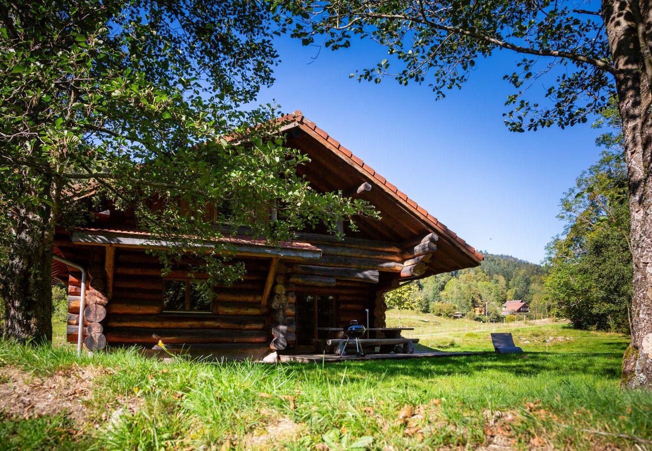 Chalet à La Bresse - 8. LO Beau chalet rondins 130m², 4ch, 8/10p