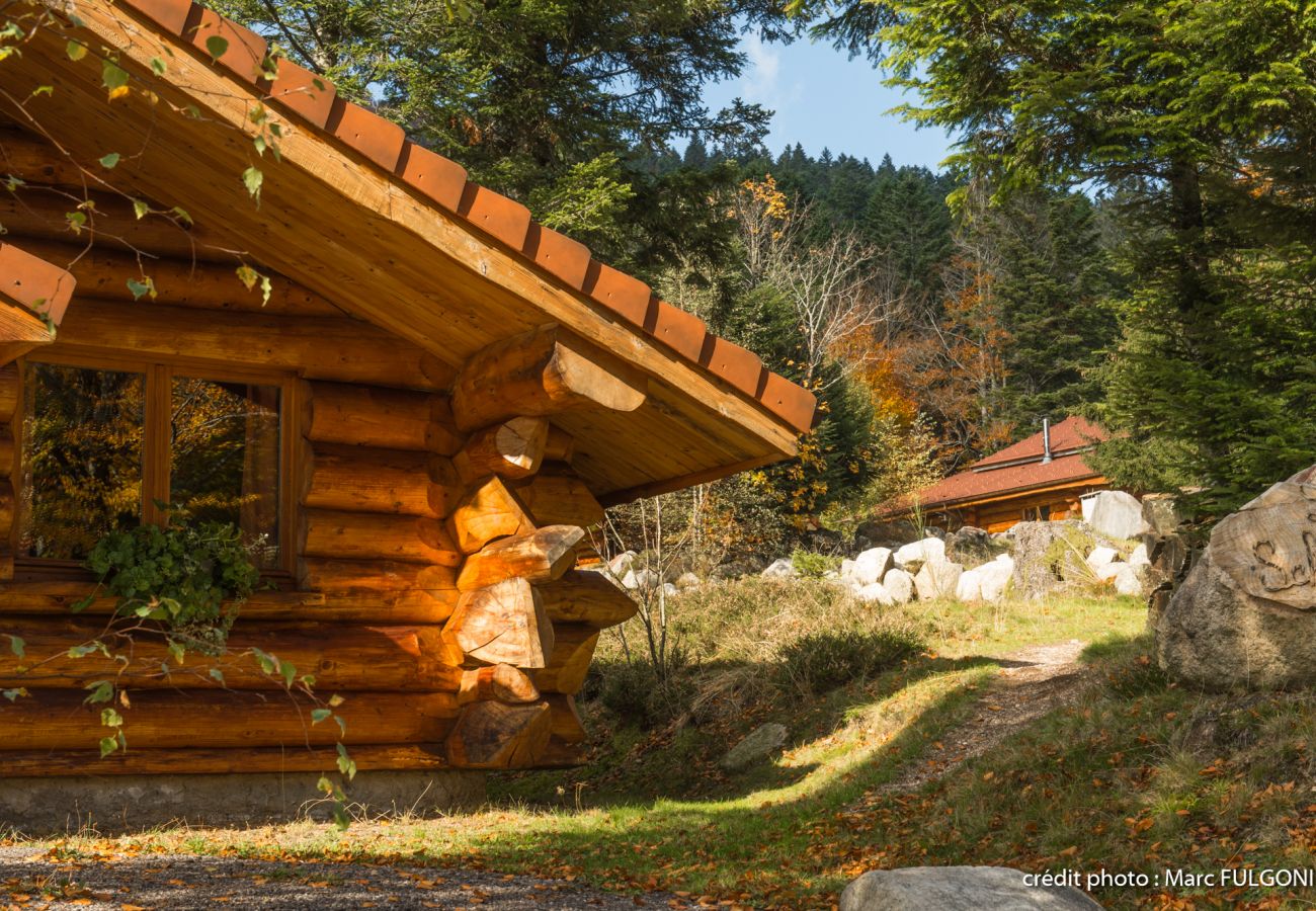 Chalet à La Bresse - 4. Magnifique chalet rondins 4/6 p, 52 m², 2 ch G