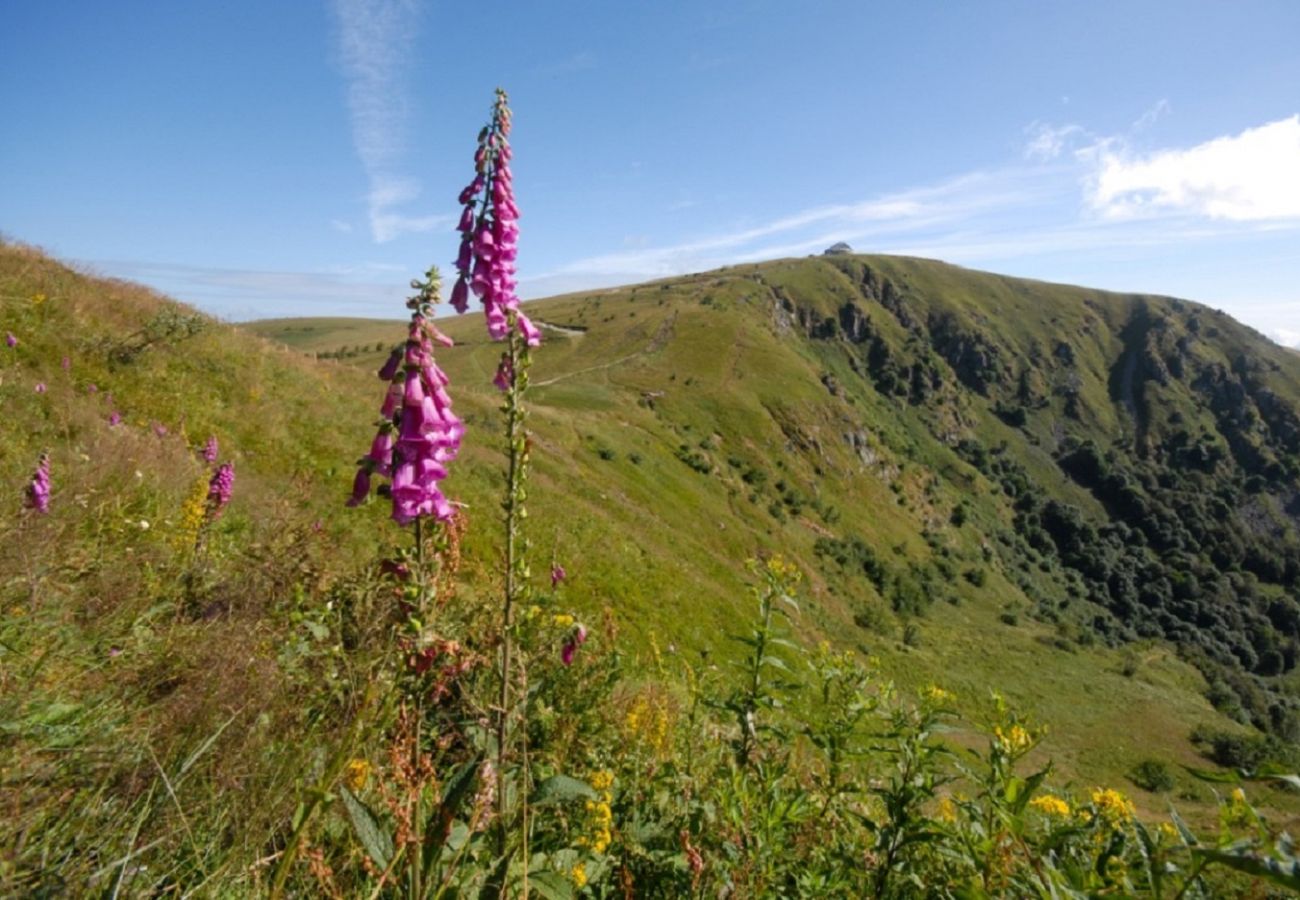 Chalet à La Bresse - 4. Magnifique chalet rondins 4/6 p, 52 m², 2 ch G