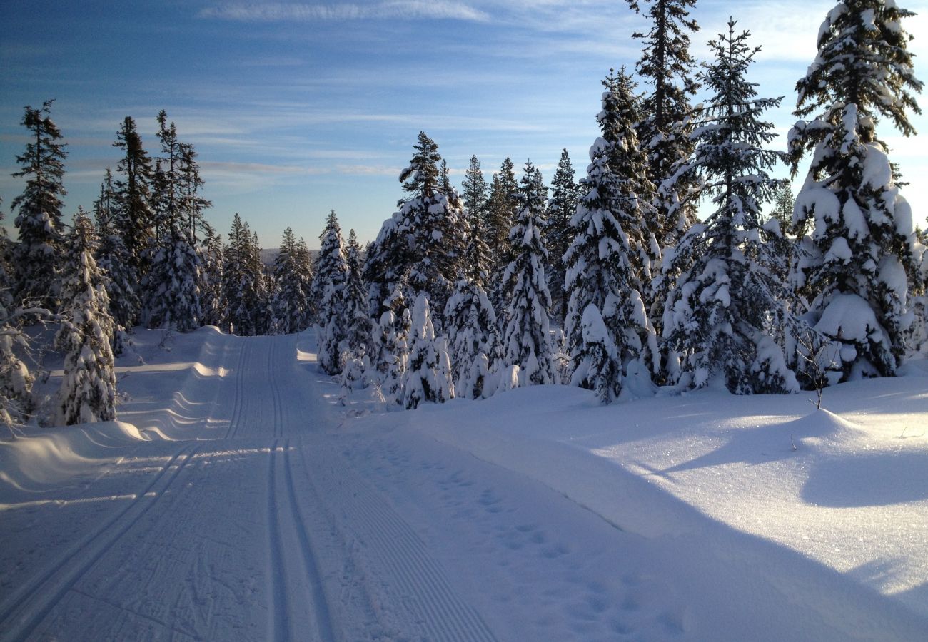 Chalet à La Bresse - 8. SO Magnifique chalet rondins 130m², 4ch, 8/10p