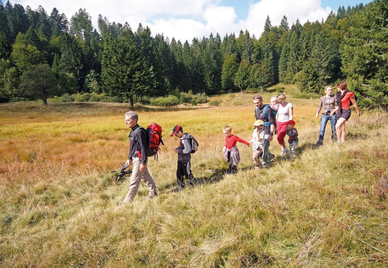 Appartement à La Bresse - A2. Appartement Premium 3/5p, 42m² 1ch, terrasse,