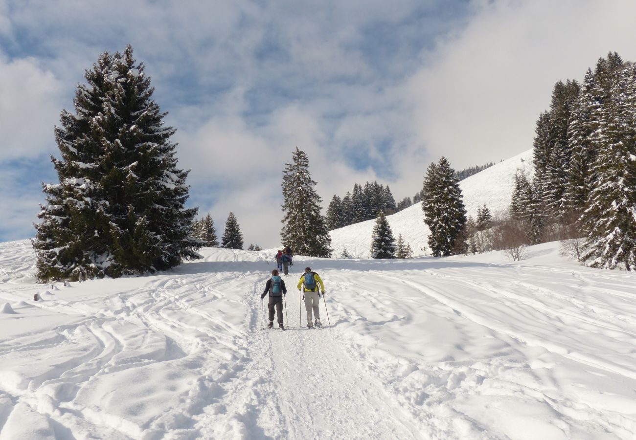 Appartement à La Bresse - A2. Appartement Premium 3/5p, 42m² 1ch, terrasse,