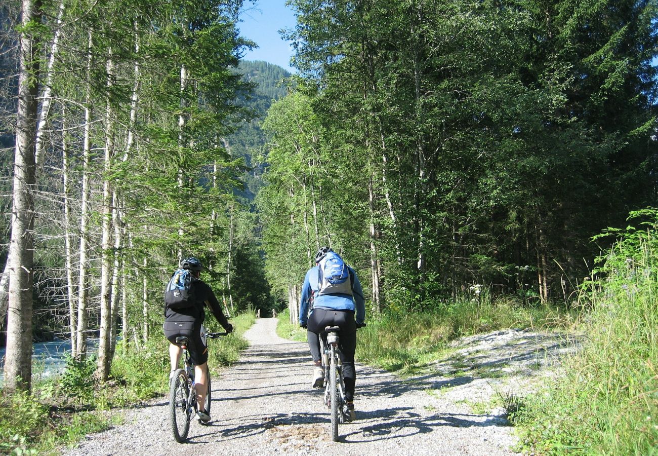 Appartement à La Bresse - M15. Appartement premium 3/4p 52m² 2 ch calme wifi